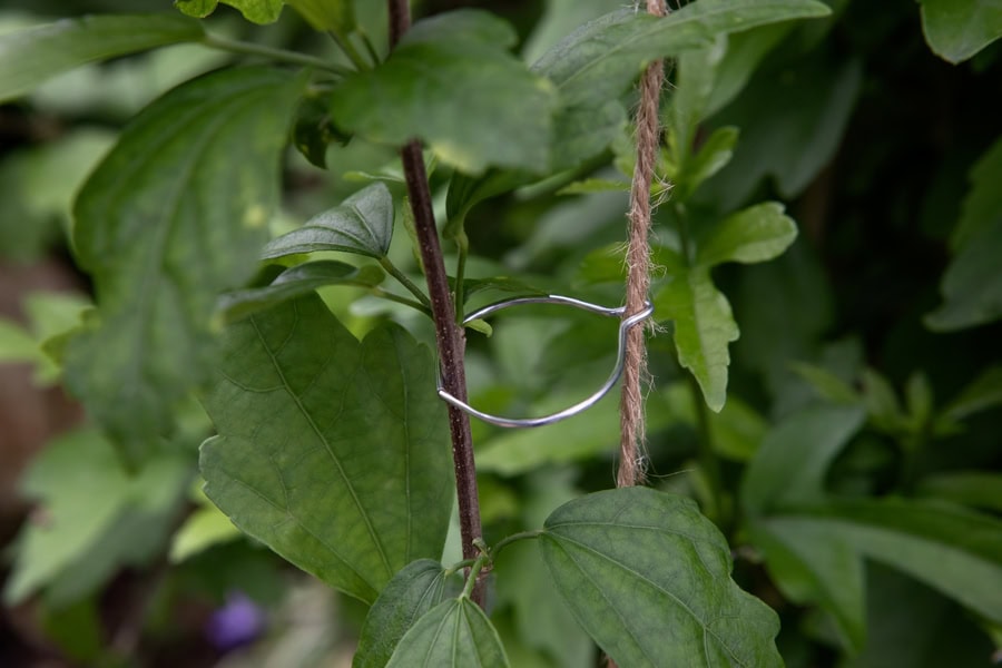 PR2466BI15632 CP ENBA GR ENBA GR SZ4