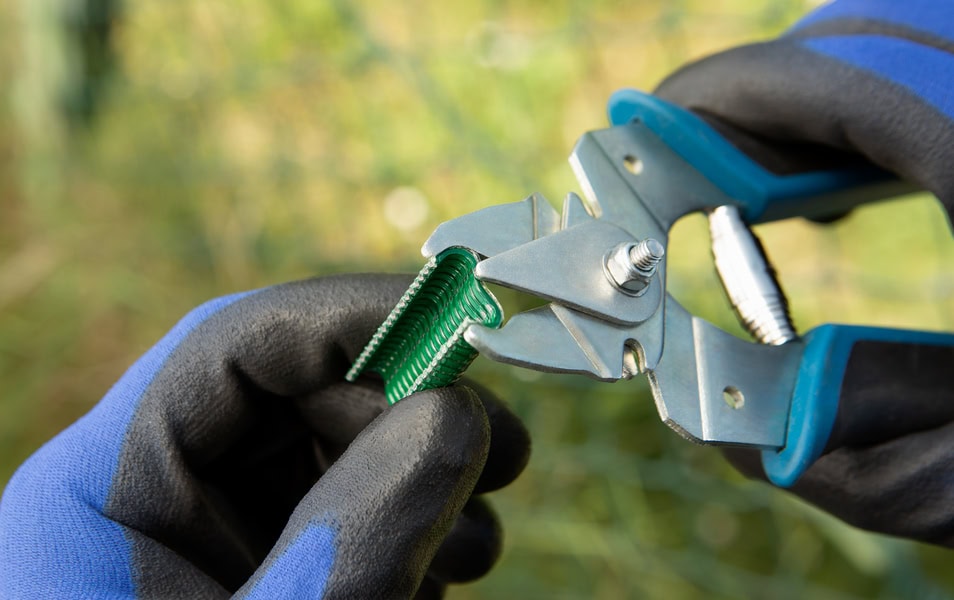 PR2468BI15615 CP GRA GRA SZ4