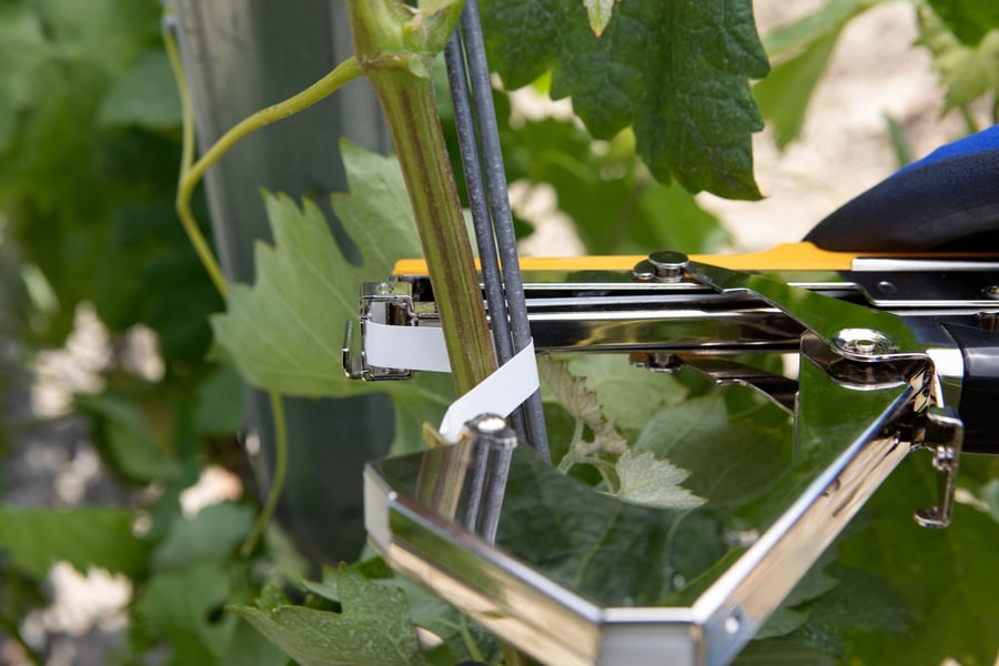 PR2457BI15625 CP EN AT EN AT SZ4