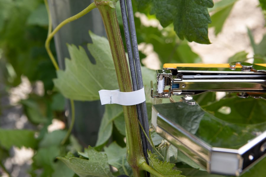 PR2457BI15750 CP EN AT EN AT SZ4