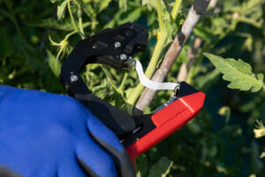 PR2458BI15752 CP EN AP EN AP SZ4