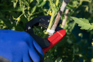 PR2458BI15753 CP EN AP EN AP SZ4