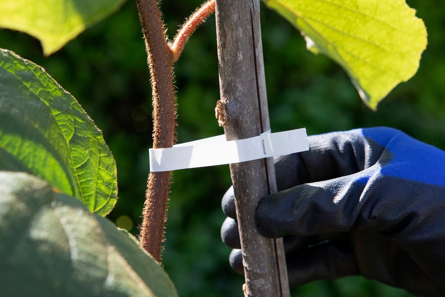 PR2460BI15751 CP EN CI EN CI SZ4