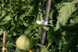 PR2460BI15756 CP EN CI EN CI SZ4