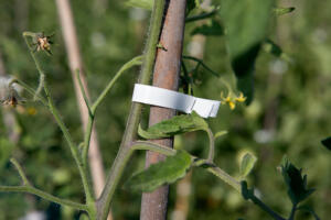 PR2460BI15758 CP EN CI EN CI SZ4