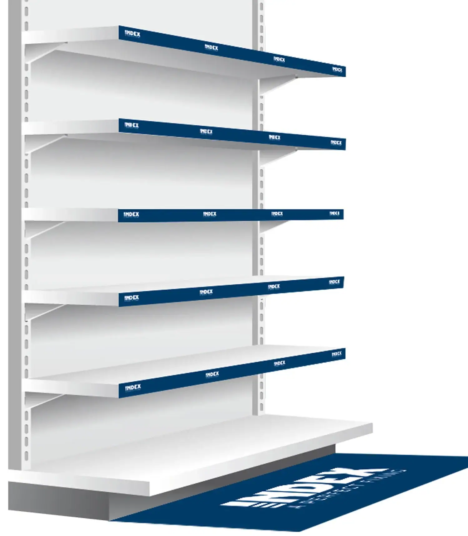 lineales drch e1702319648388.webp